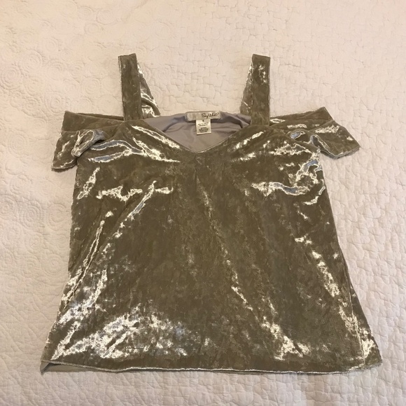 Beautiful drop sleeve silver velvet top by Say What? (S) - Picture 4 of 13